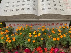-大槐树寻根祭祖园