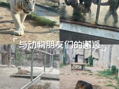 -郑州市动物园