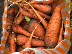 -吉野家(群力王府井店)