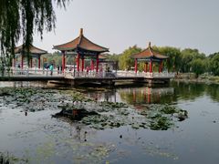 -长春市南湖公园