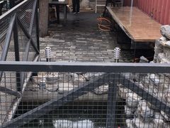 -Kings party 高端轰趴会所(朝阳北路店)
