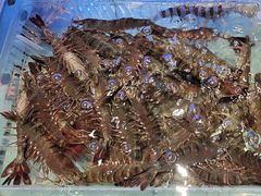 -阿伟海鲜楼·福建菜(延寿店)