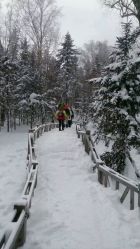 -大秃顶子山