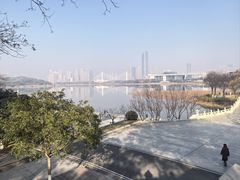 -古琴台