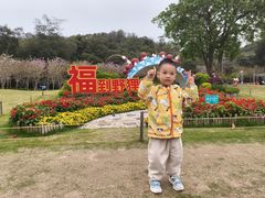 -野狸岛