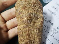 -成都中医药大学(温江校区)