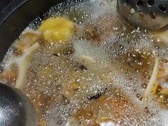 -探窝·竹笙椰子鸡(杨箕店)