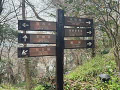 -吴山景区