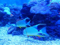 -成都浩海立方海洋公园