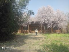-嵖岈山风景区