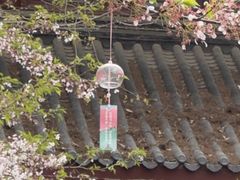 -堤角公园