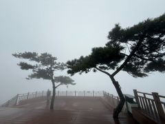 -沂蒙山旅游区云蒙景区(蒙山国家森林公园)