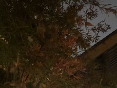 -都氏家DUSJOY(翡翠城店)
