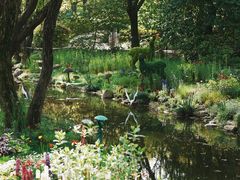 -上海共青森林公园