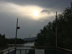 -崖口红树林海鲜餐厅