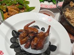 -谭厨中山传家菜.乳鸽.脆鲩鱼(华强北中航城店)