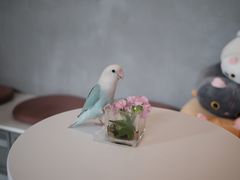 -Bai Meow法式西点咖啡