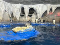 -太平洋海底世界