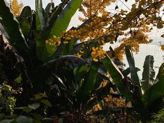 -乐山大佛风景名胜区乌尤寺南门-售票点