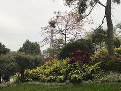-晓港公园