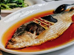 招牌中式清蒸鲥鱼（半条）-苏浙汇(古北店)
