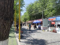-哈尔滨道外花鸟鱼市场