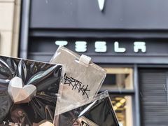 -TESLA 特斯拉(上海太古汇体验店)