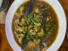 -全乐鱼馆·淳牌有机鱼直营店