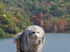 -广州市白云山风景名胜区