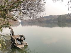 -浙江宾馆·花园餐厅·自助餐厅·茶吧