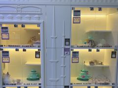 -小猫来了·猫舍(红山六九七九店)