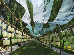 -泗洪洪泽湖湿地景区