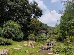 -云溪植物园