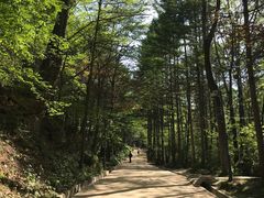 -洛阳白云山景区