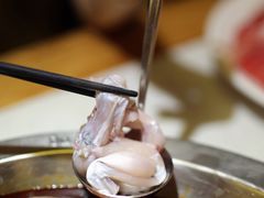 活杀牛蛙-大龙燚火锅(天钥桥路店)