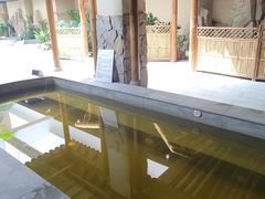 -林栖谷森林康养度假区