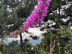 -天津盘山风景名胜区