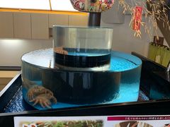 -蟹道乐(道顿堀本店)