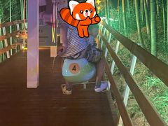 -杭州开元森泊度假乐园