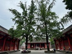 -房湖公园