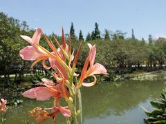-河泥荡文化公园