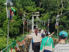 -西双版纳原始森林公园