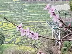 -婺源风景区
