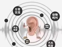 -自然之声助听器·呼吸机(和平店)