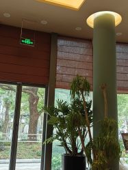 -娇玫荟SPA
