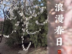 -三里河公园