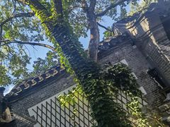 -悦真雅院·四合院·清真私房菜(雍和宫店)