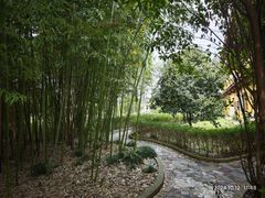 -上海青龙寺
