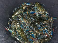 -海盗餐厅