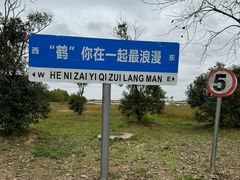 -盐城丹顶鹤湿地生态旅游区